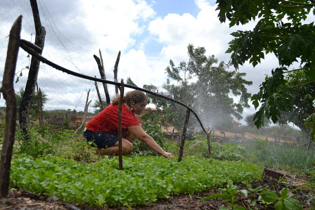 Foto de mulher cuidando de uma plantação