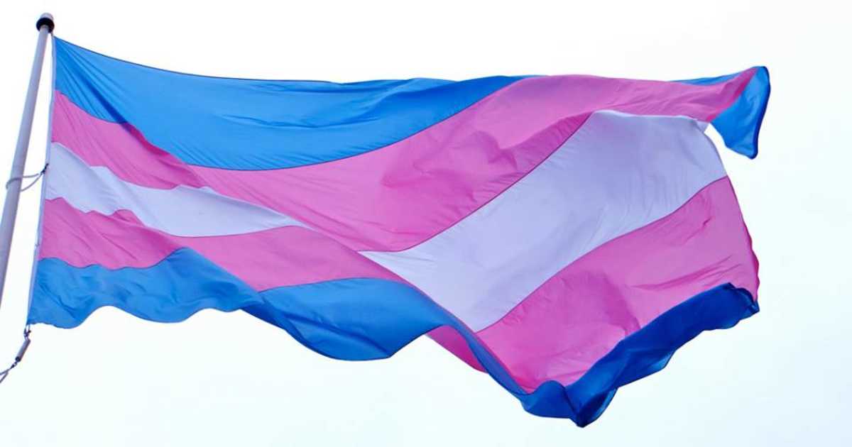 Bandeira em listras rosa, azul e branco esvoaçante: símbolo da comunidade trans