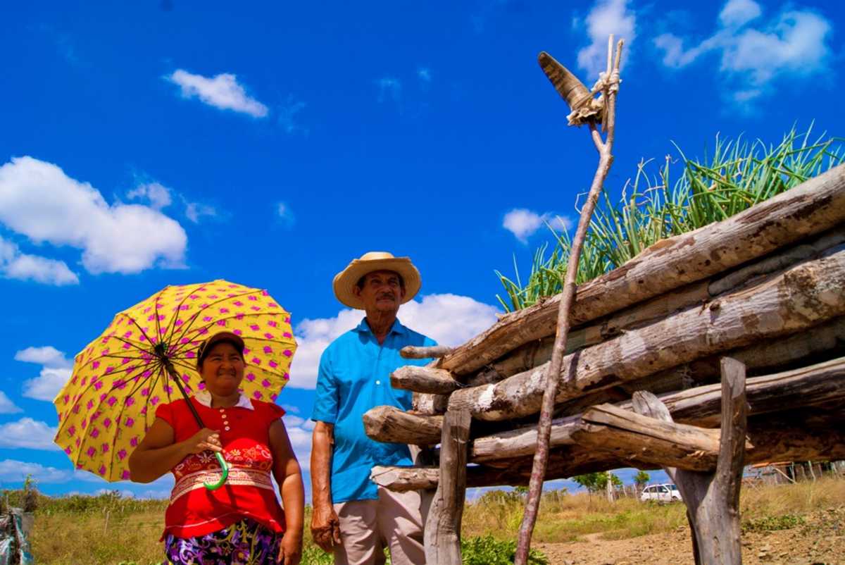 Mulher com sombrinha e homem com chapéu apreciando canteiro com verduras sob o céu azul