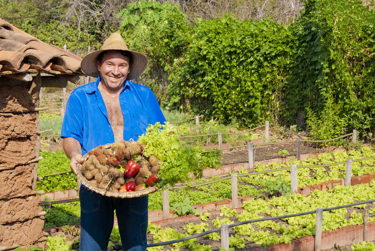 Agricultor segura nas mãos cestas de  legumes e verduras, ao redor de uma horta e perto de uma casa de taipa